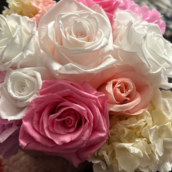 Meet your Posher, Dalkowska - Picture 1 of 1